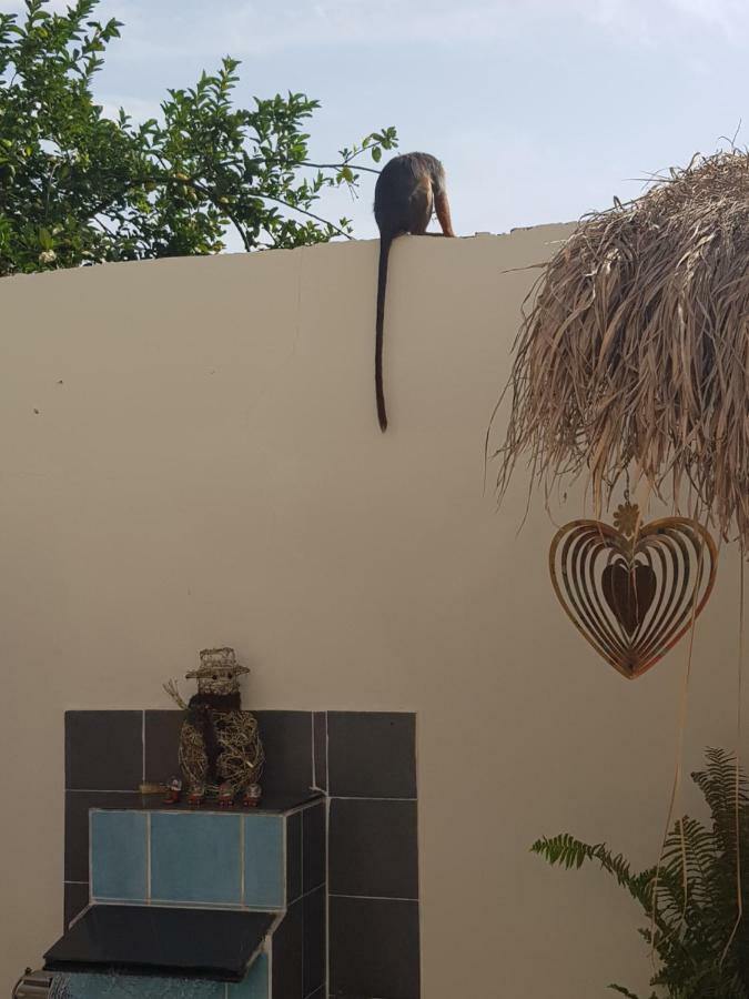 Mandinka Lodge Kololi Exterior photo